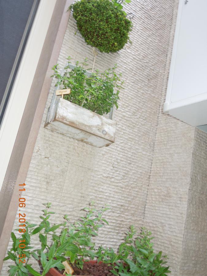לצ'ה Miklu Luxury Suite מראה חיצוני תמונה